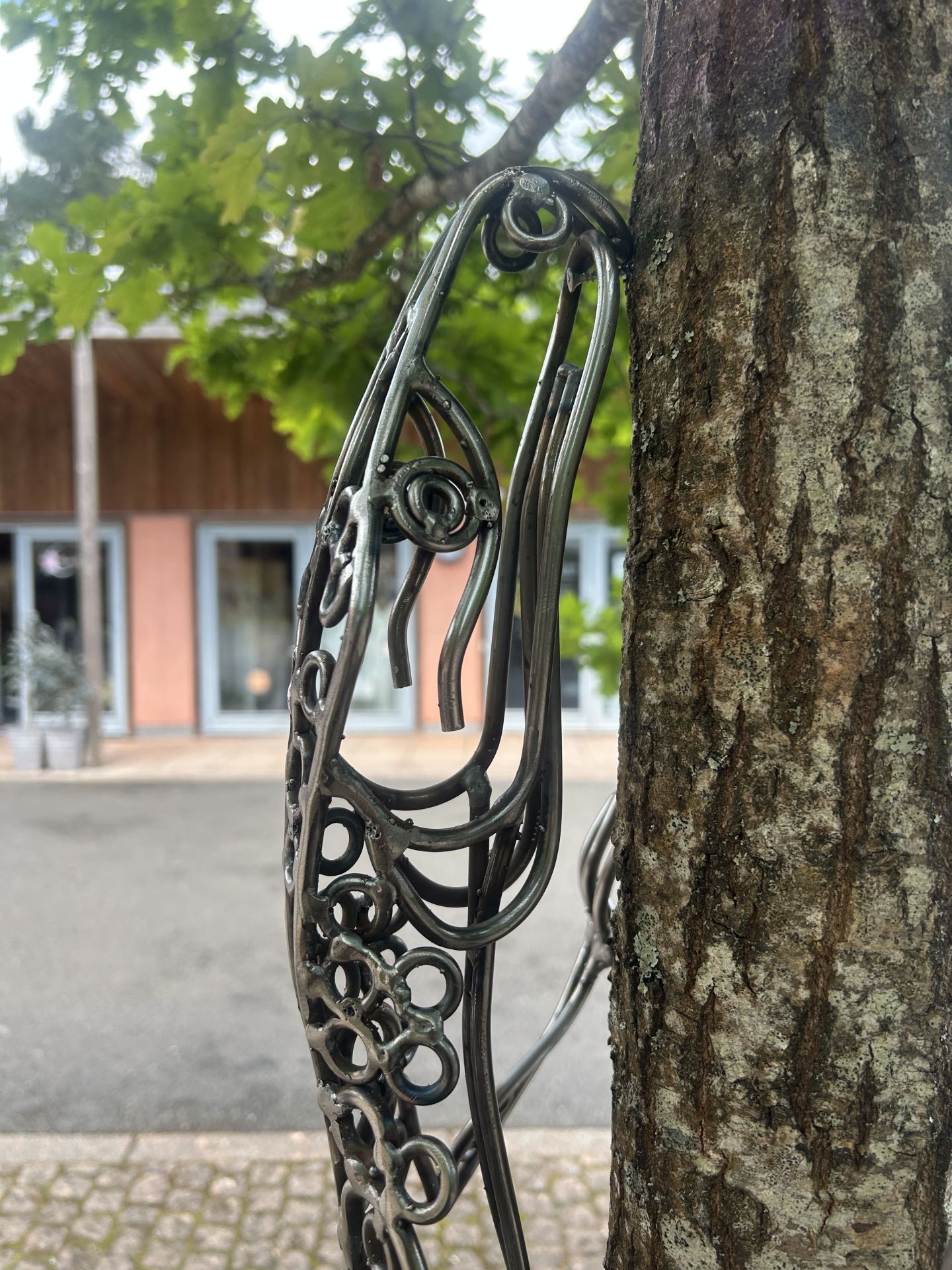 Allan poxton gecko 55